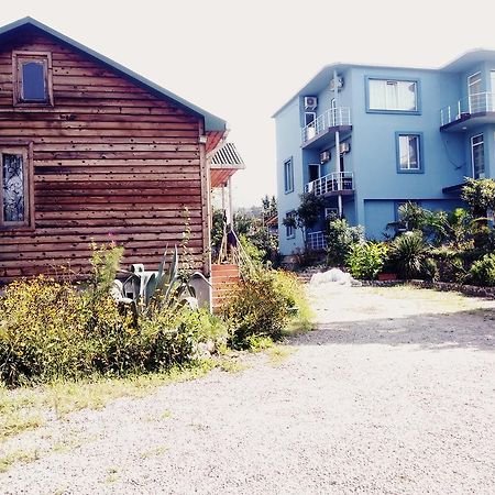 Wooden Cottage Makhinjauri Ngoại thất bức ảnh