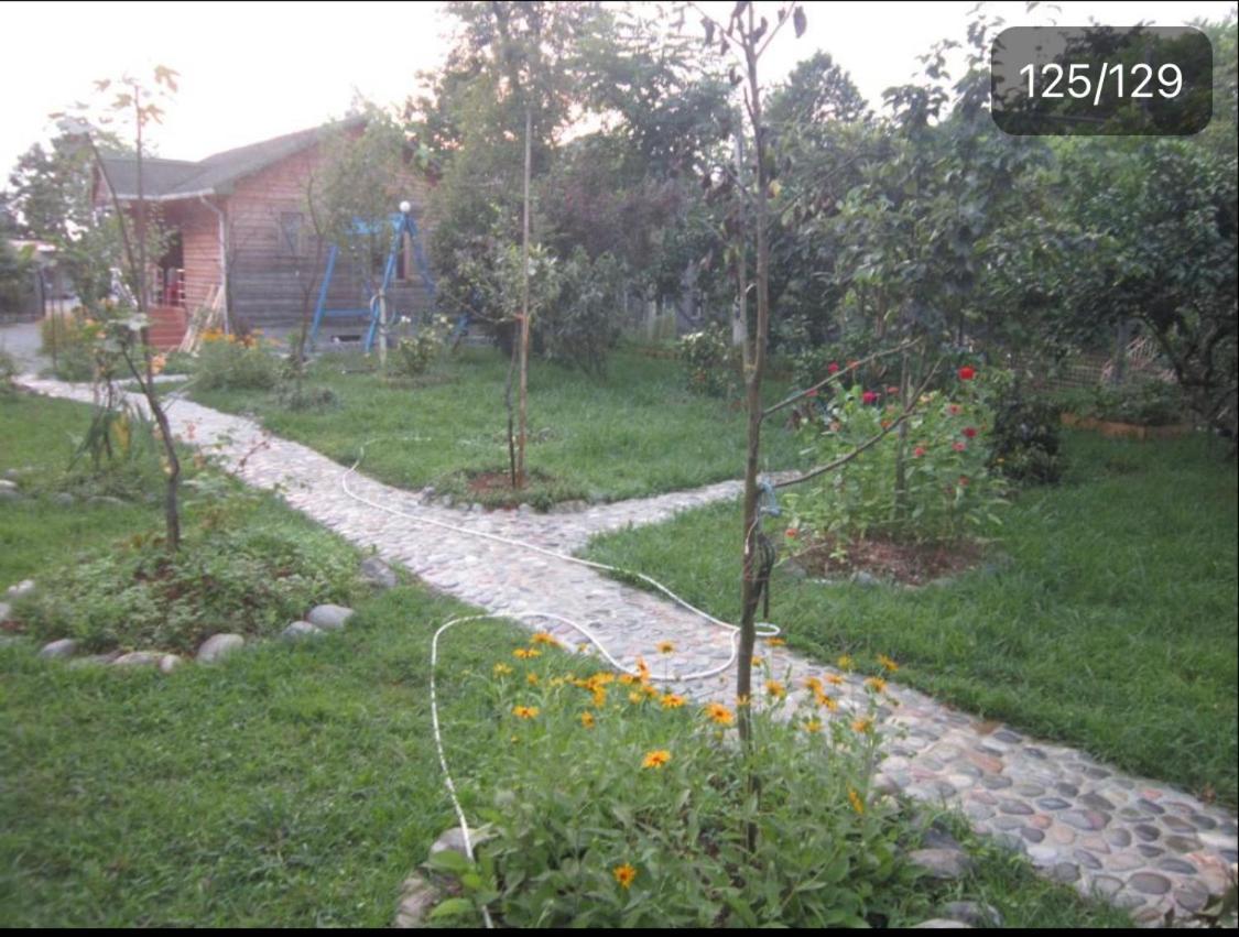 Wooden Cottage Makhinjauri Ngoại thất bức ảnh